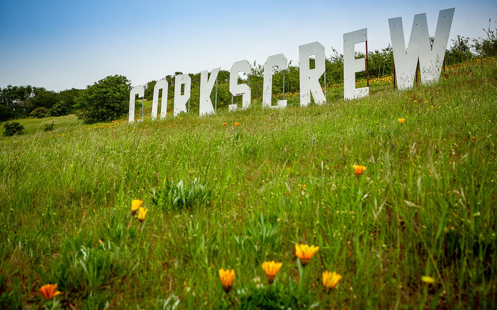 Trans Am Series Event Preview: WeatherTech Raceway Laguna Seca 2025